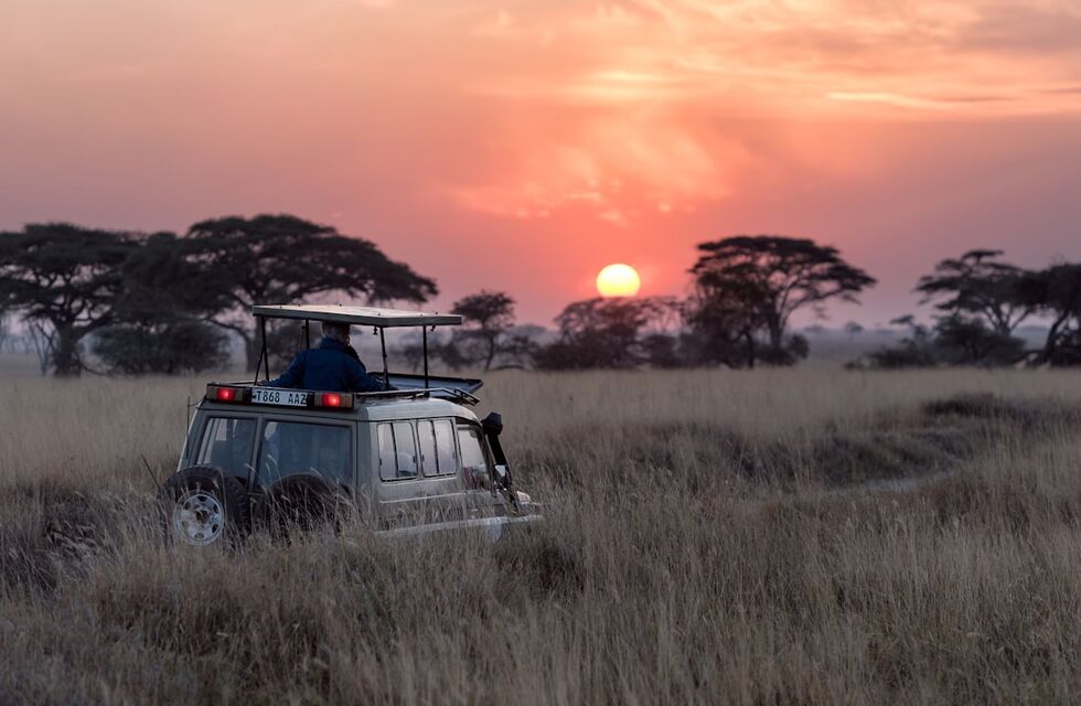 Game drive at first light